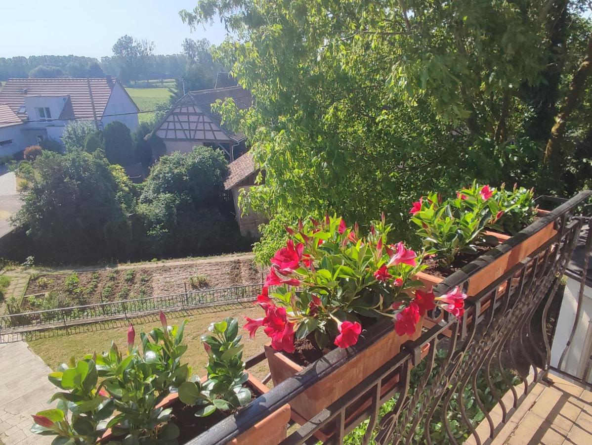 Appartement Des Rives De L'Ehn Krautergersheim Kültér fotó